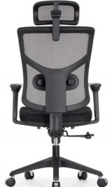 Expert-3 Star Office Ergo